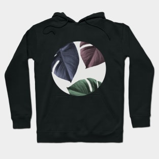 Monstera 02 Hoodie